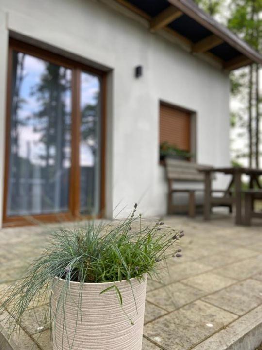 Domki Pod Debami Mojecice Exterior foto